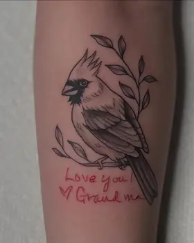 Cardinal on a branch with red handwritten script