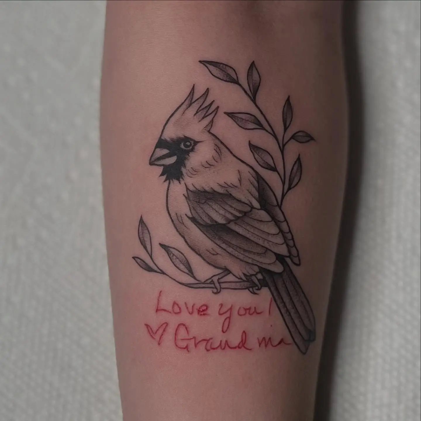 Cardinal on a branch with red handwritten script