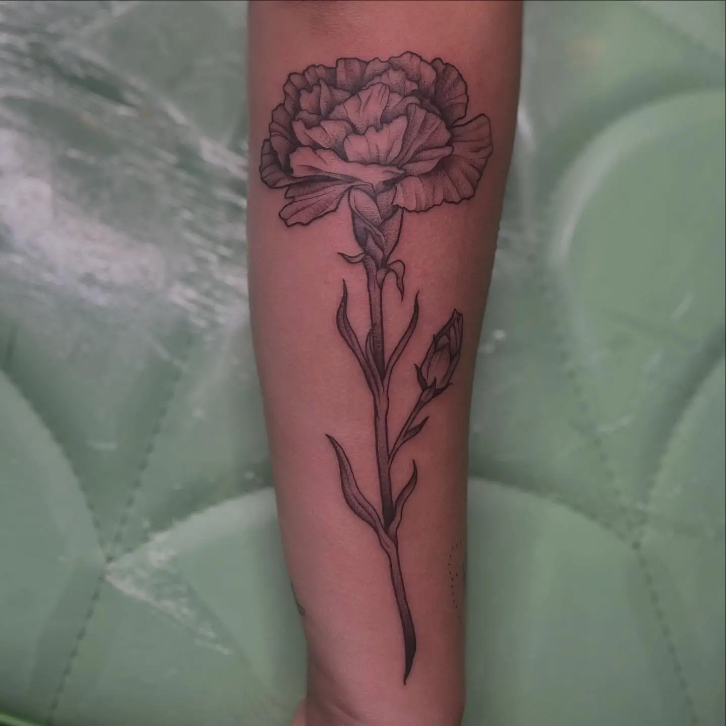 Single stem carnation and rose on a forearm