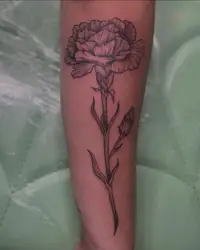 Single stem carnation and rose on a forearm