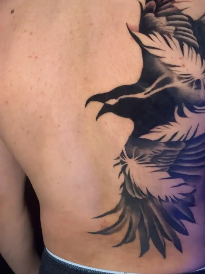 Large black crow with spread feathers on a shoulder blade