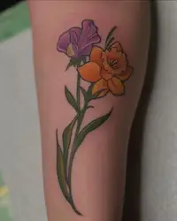 Birth flowers in color: an orange daffodil and a purple sweet pea