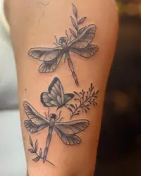 Dragonfly and butterfly rework in black and grey