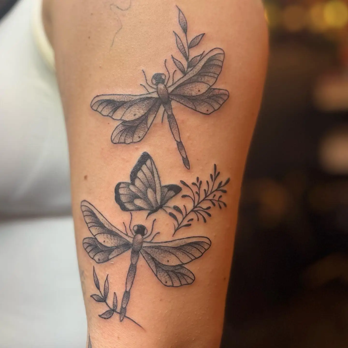 Dragonfly and butterfly rework in black and grey