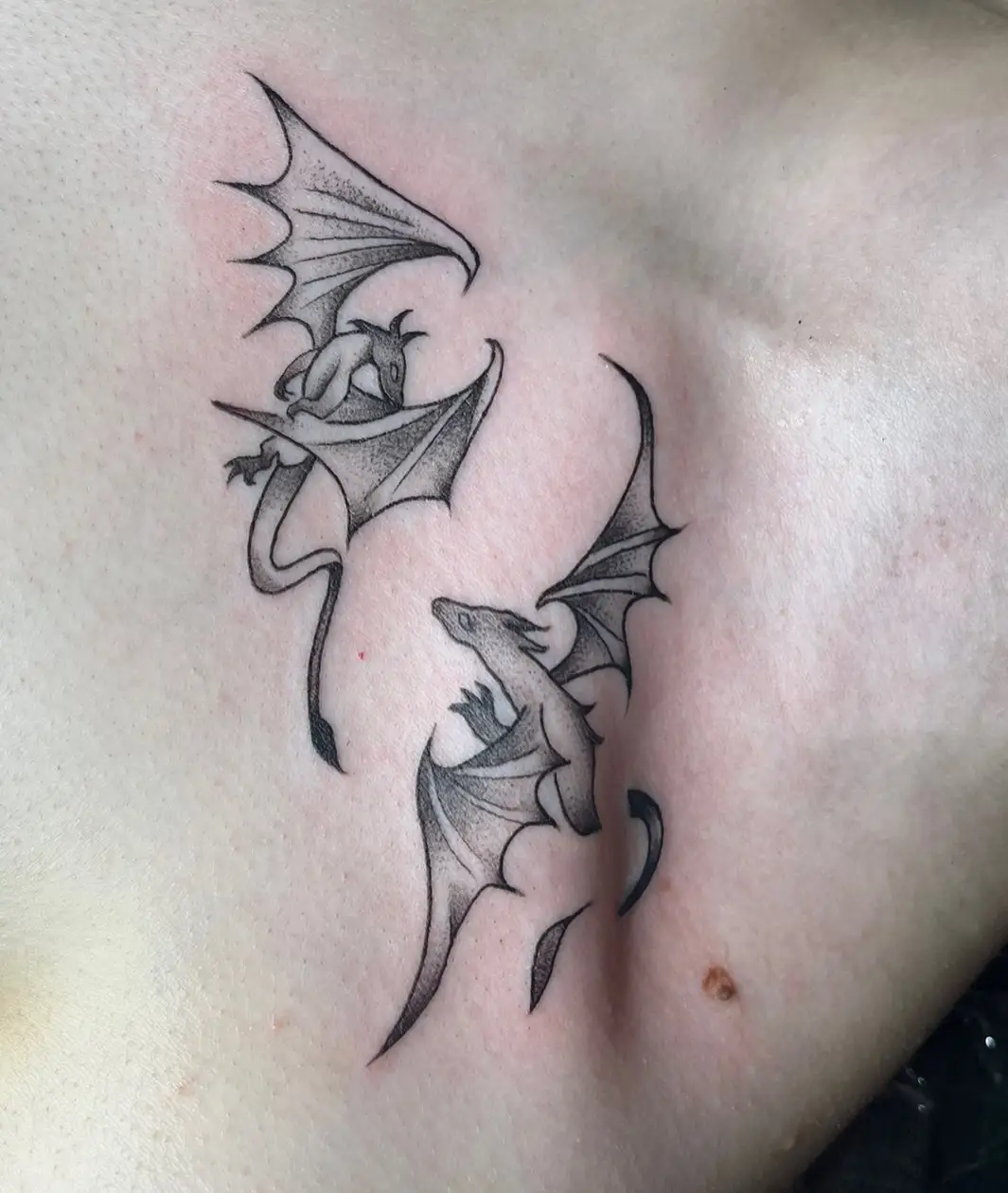 Two small black and grey dragons on a chest