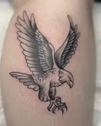Black and grey eagle with spread wings