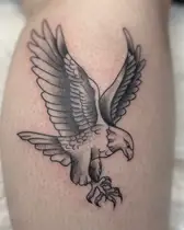 Black and grey eagle with spread wings