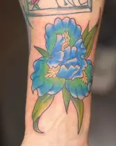 Blue and green iris flower in full color