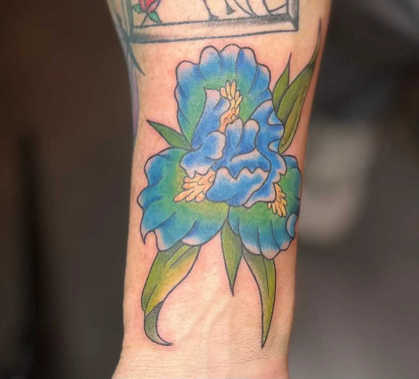 Blue and green iris flower in full color