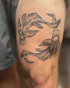 Two koi fish in black and grey