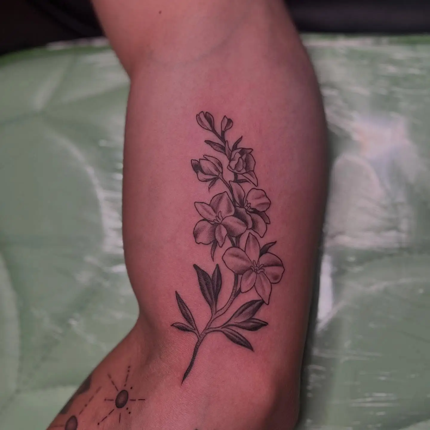 Fine line larkspur stems on a forearm