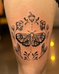 Ornamental moth framed by acorns and leaves