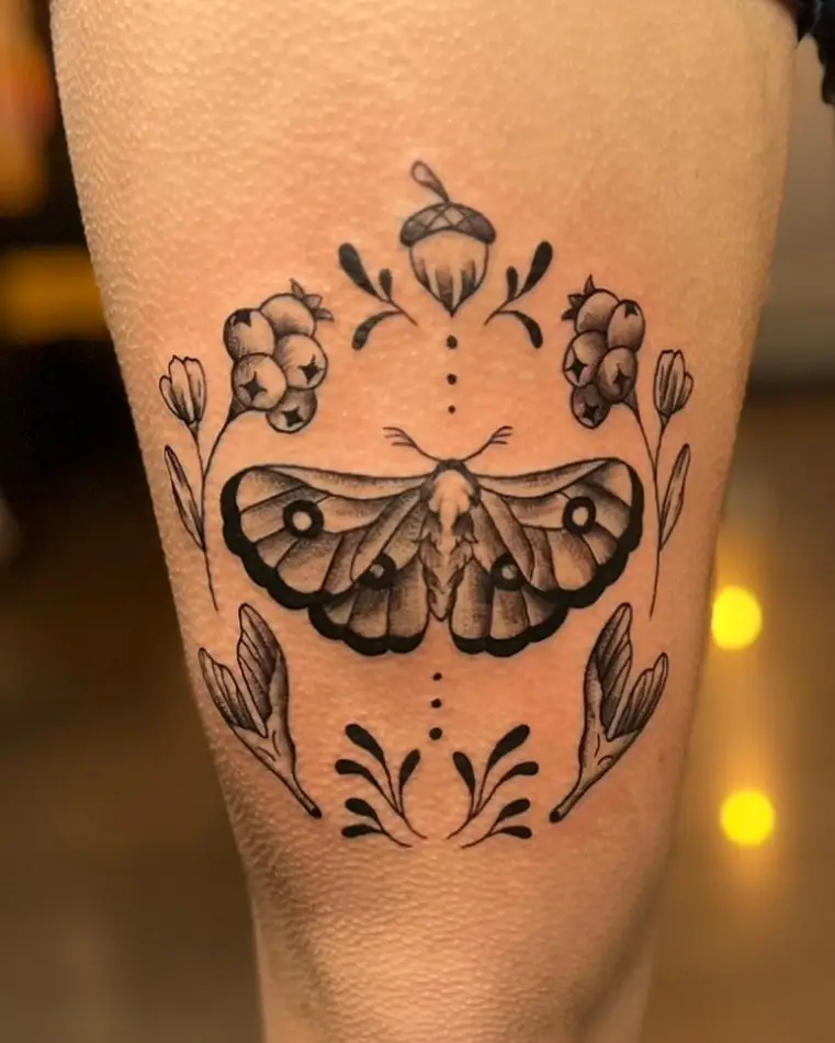 Ornamental moth framed by acorns and leaves