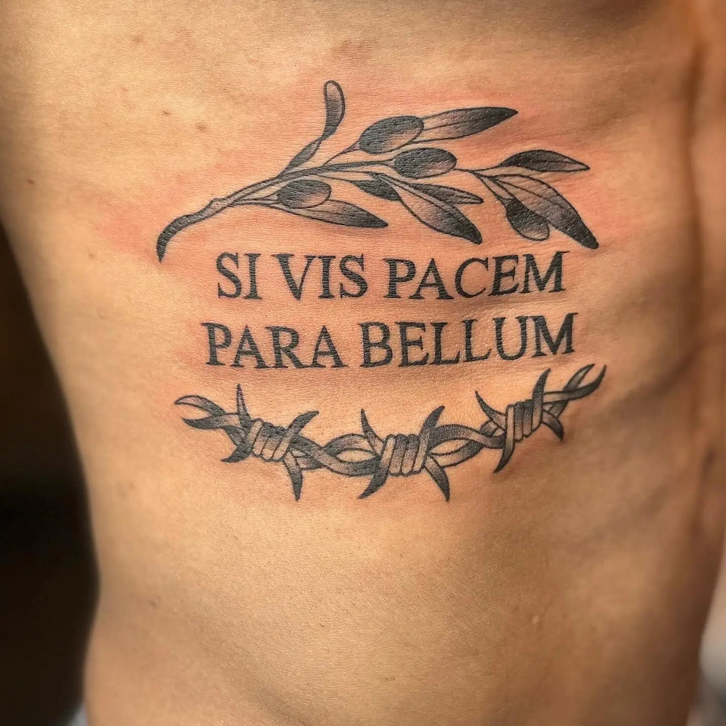 Latin script with an olive branch and barbed wire on the ribs