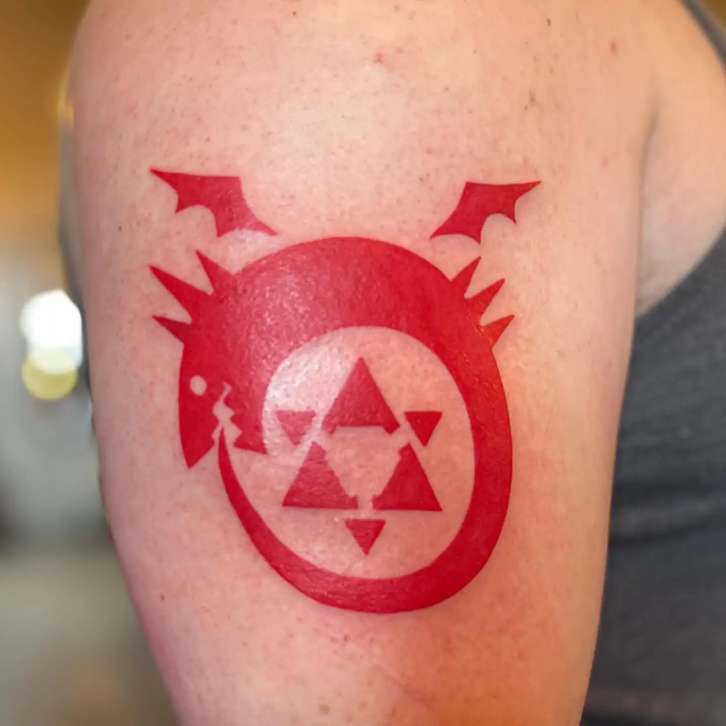 Red ouroboros symbol from Fullmetal Alchemist