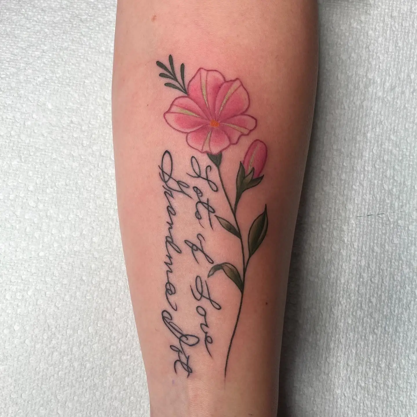 Pink petunia with a handwritten note