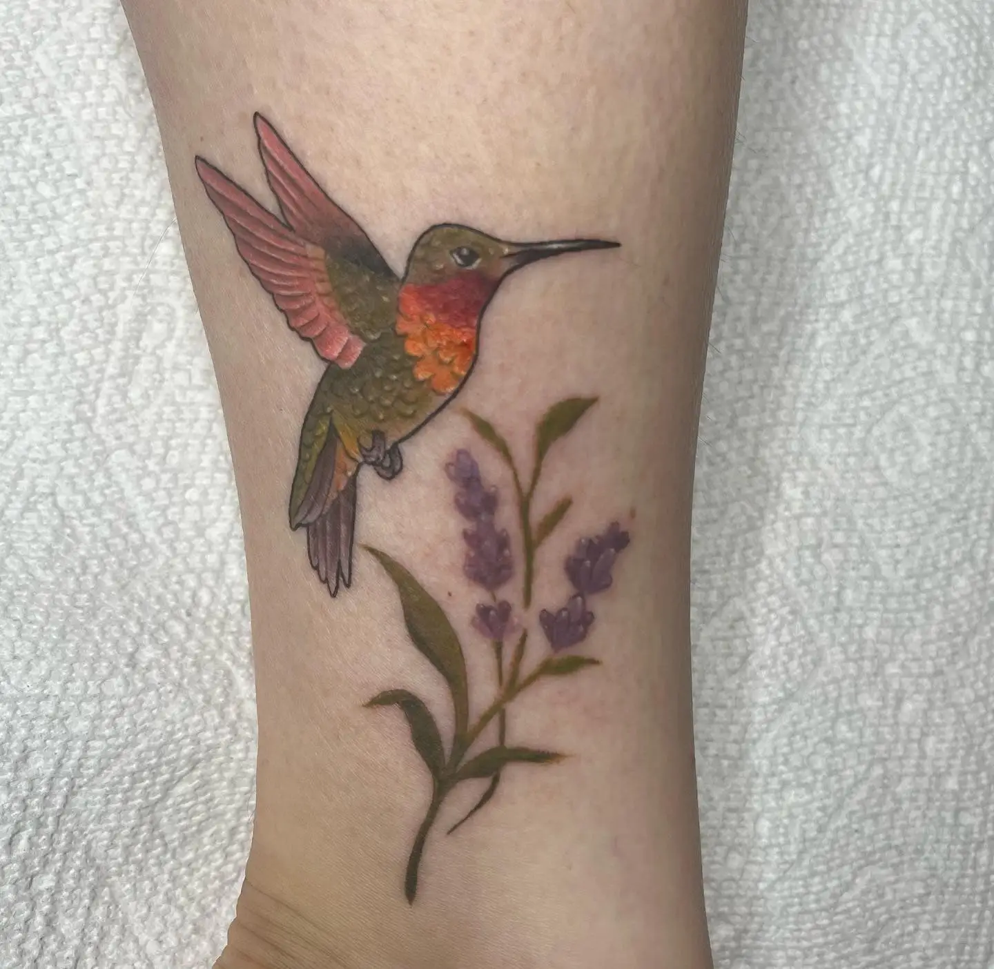Color hummingbird with a lavender sprig