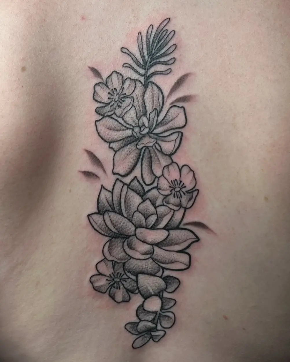 Black and grey succulents and flowers