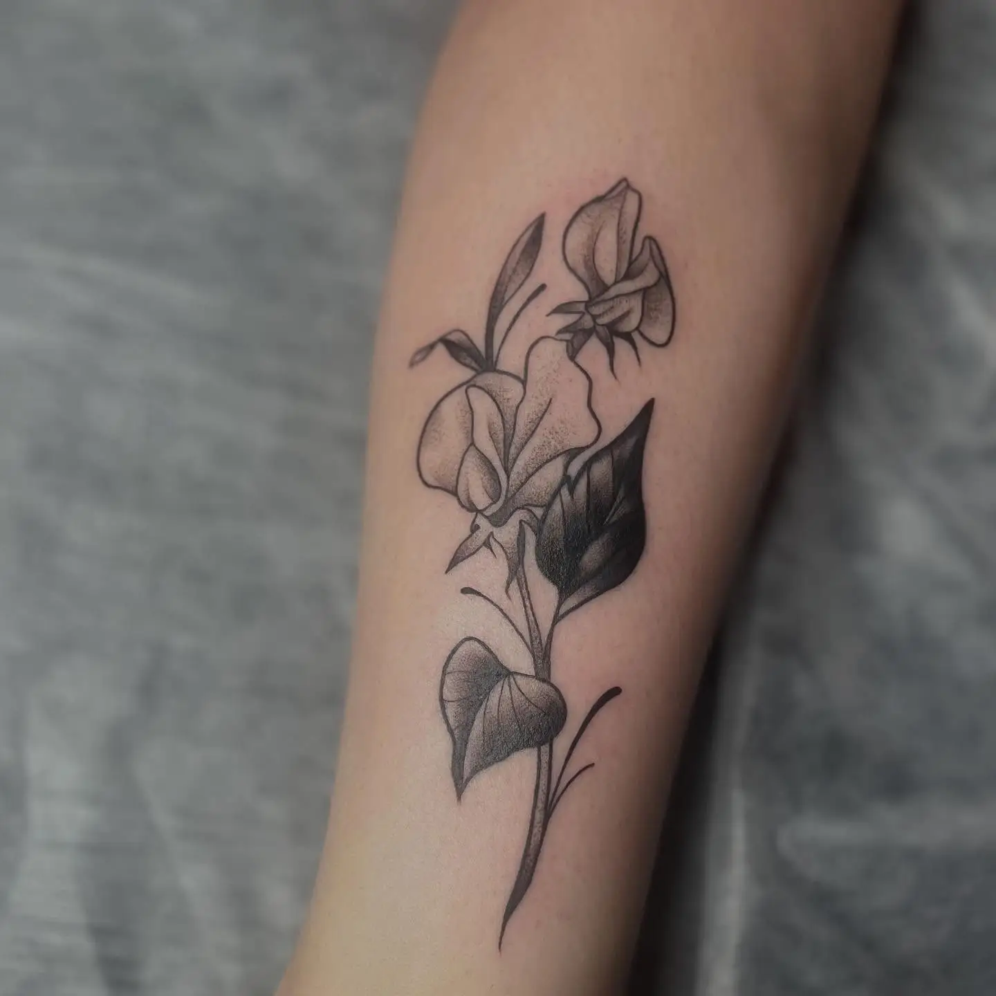 Sweet pea flower used as a cover-up on a forearm